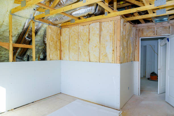 Types of Insulation We Offer in Fern Park, FL